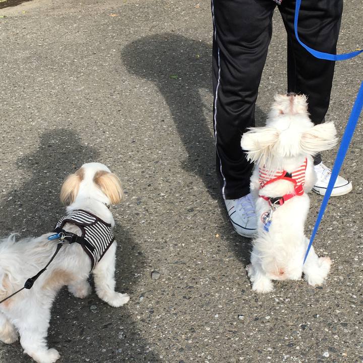 F16853d2 5c59 4ff7 a27e fefc5fed9bb4 1624250587324