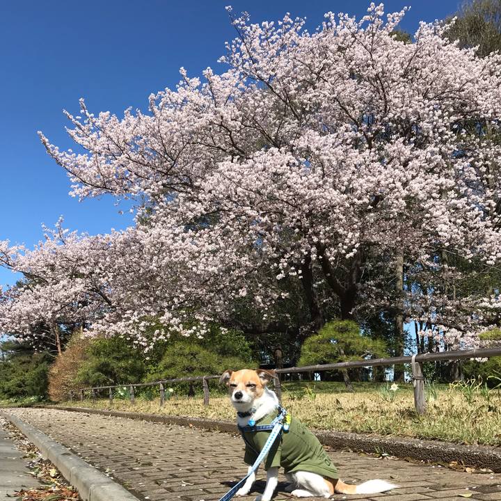 F168b1c2 d284 4ed6 b8f5 15ac0bd8c731 1554949820548