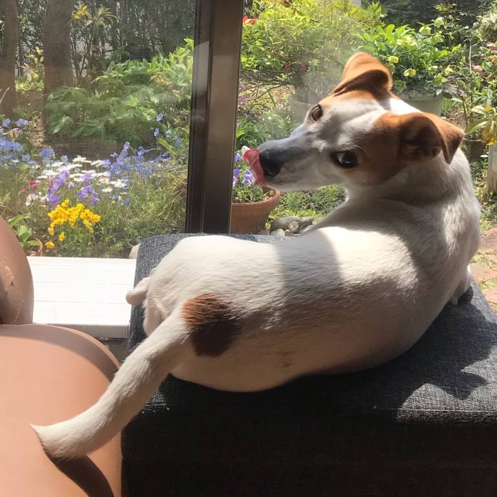 F168cf4c bf3b 4a0a 843f 7052d93059b1 1587256550795