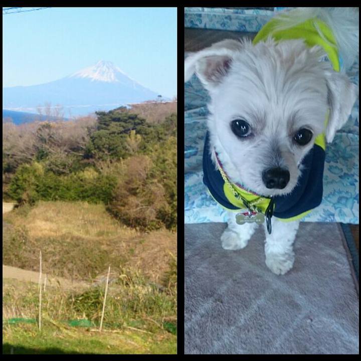 F168d16d 64d2 4302 bdd5 097046c28025 1514633807961