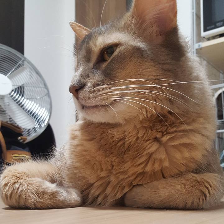 F168d611 215d 4e9a 86da f20c46a3e645 1572269115409