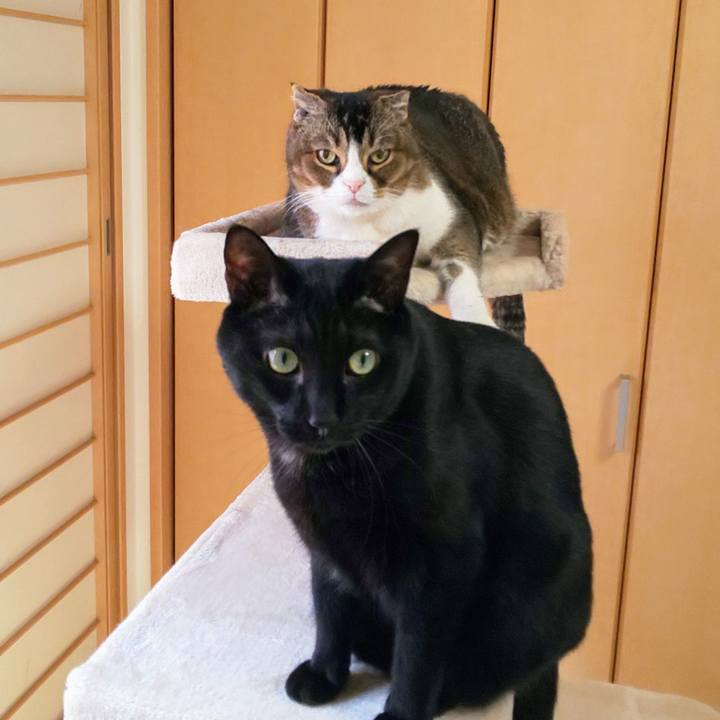 F168de8e bef2 4c16 a7b4 b4183b3477ee 1745730341756