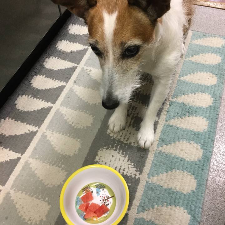 F168e952 311d 445a 8ed5 19d0030b554e 1628383930199