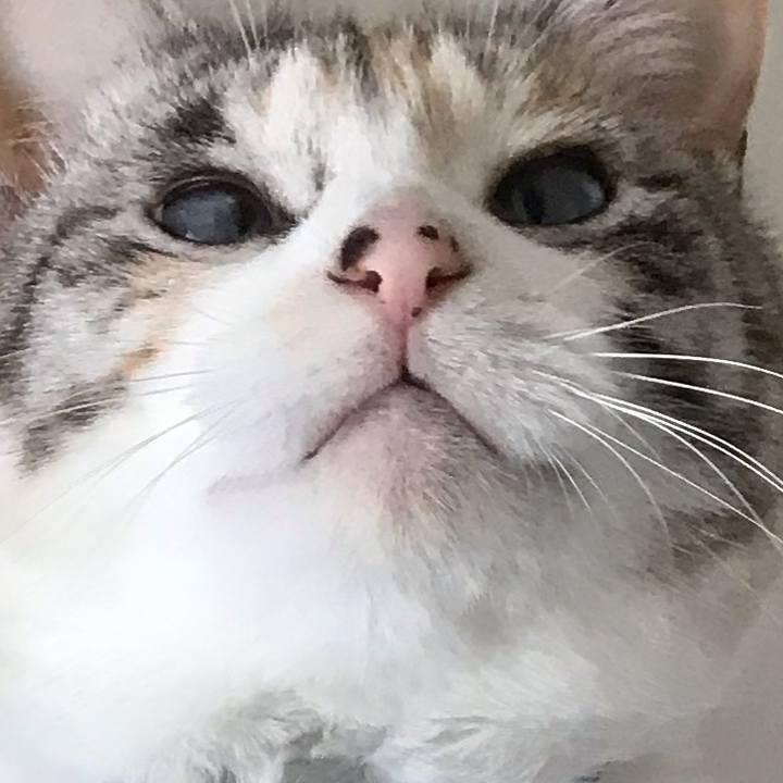 F1695de2 2b5b 409e aead 282130f434f5 1556789476130