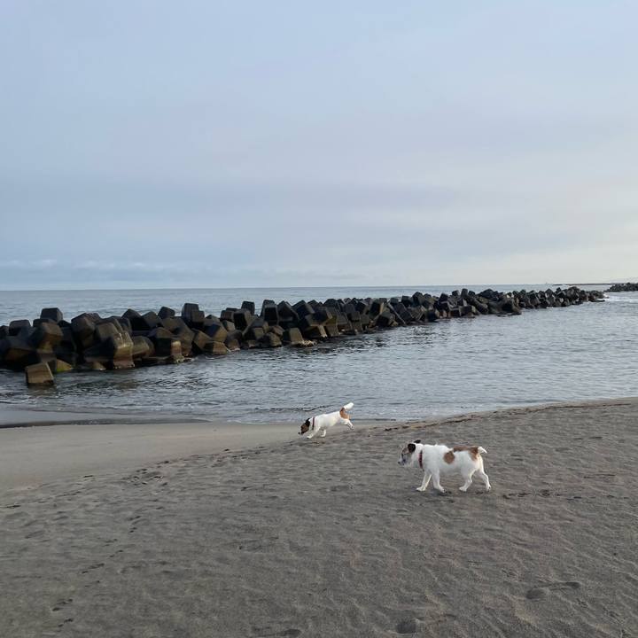 F16972bf cd79 4d5d b70e 70062a9a08df 1772755255432