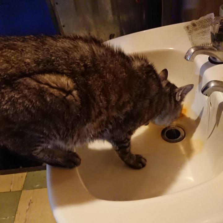 F1697eda 2b09 4c60 b7aa 16b06540af14 1569575243850