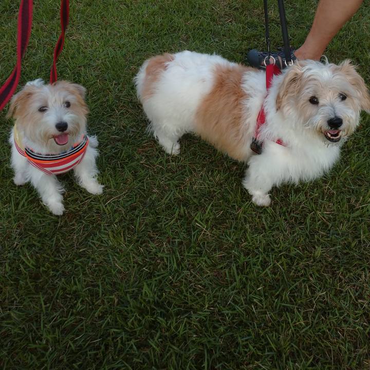 F16984d0 df94 4e57 b7e3 a126677f1931 1757888391787