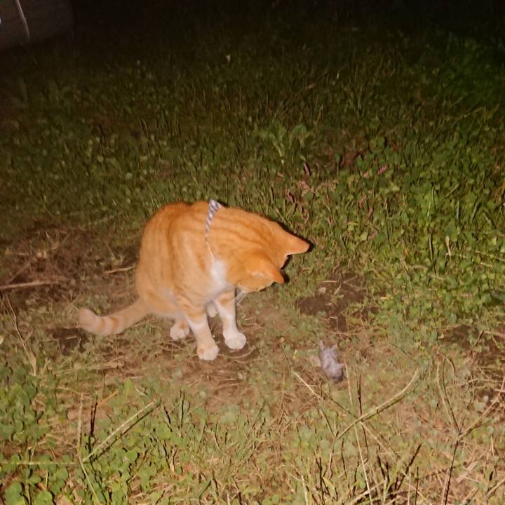 F1699a5d ba4d 4b37 a252 fb10df8e4f39 1570438775333