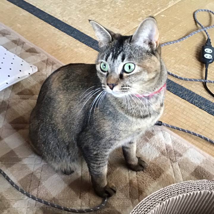 F169fc6e 81d5 4509 815f adec969bfc5f 1607390879901