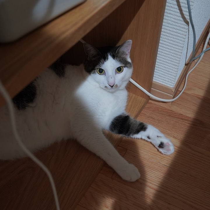 F16a0ecc b8b0 4a28 9dde ceb0a704b2b7 1594047772191