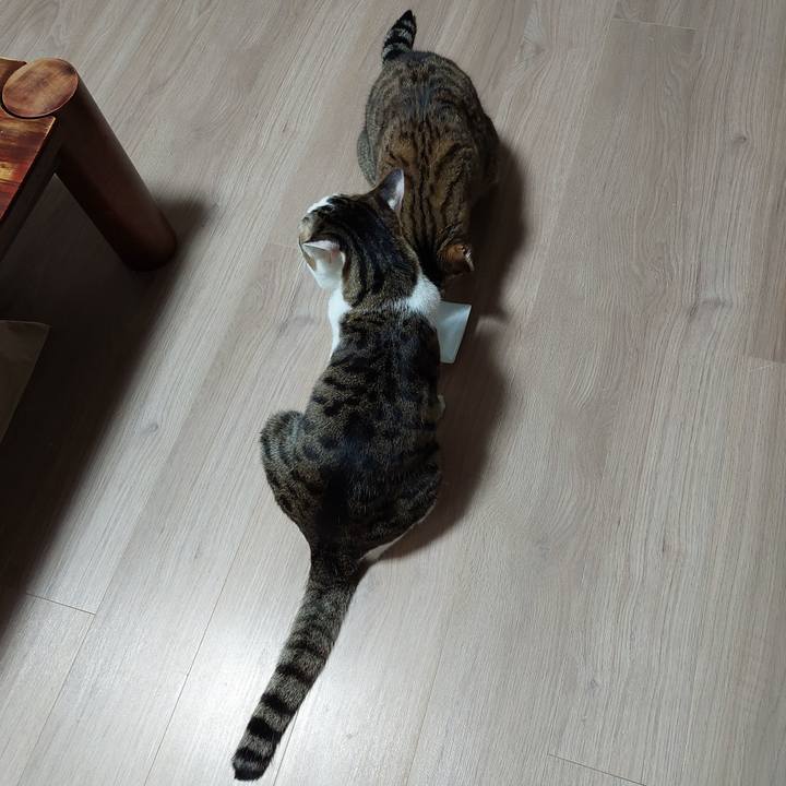 F16a12ee 0825 493e 8003 64e5c8748ff7 1640122781730