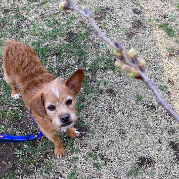 F16a215c 7158 442c be12 600800067d41 1615708370489