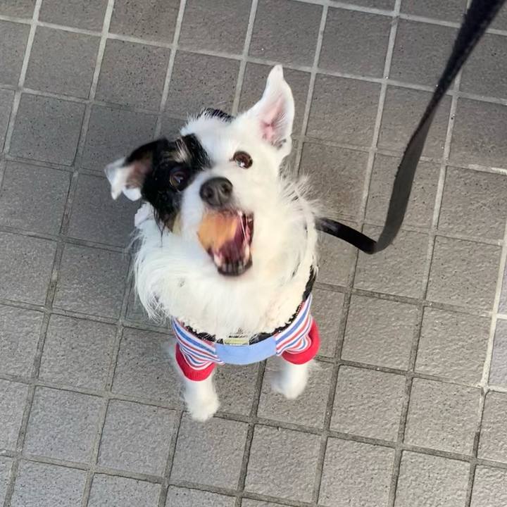 F16a404a ff4c 49d4 9858 6afa45d61172 1708932770408