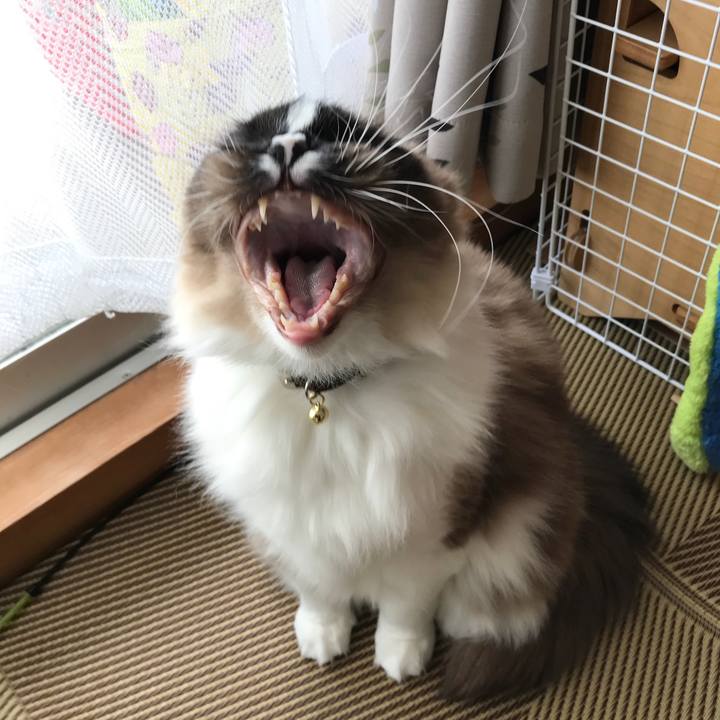 F16ad7c1 7561 4eda afd8 408b3b527822 1516802601061