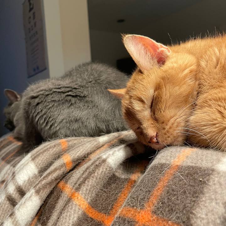 F16aed72 2391 4420 aa32 7582ce621f7a 1769547926791