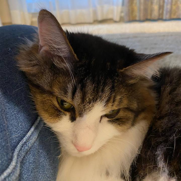 F16b3fc3 7085 448f 8ebe 602deac8fb6b 1667863333767