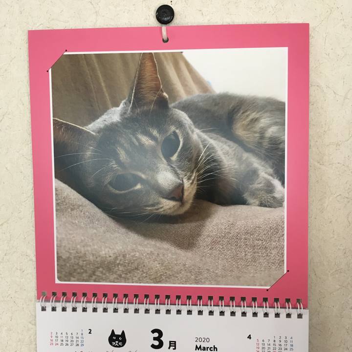 F16b8e2d c539 4e5a b1f5 eba399131afd 1583035609231