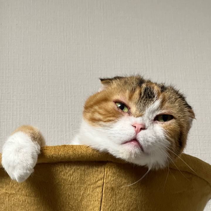 F16be7b4 61f5 48af 8639 453321611706 1683036613844