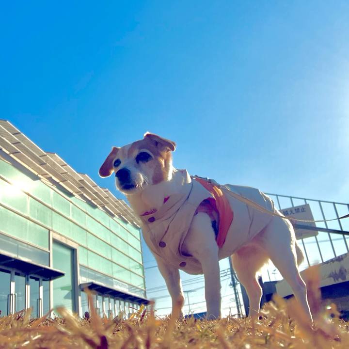 F16be9ba 9fc5 4161 867d 1dd116350667 1705192771380