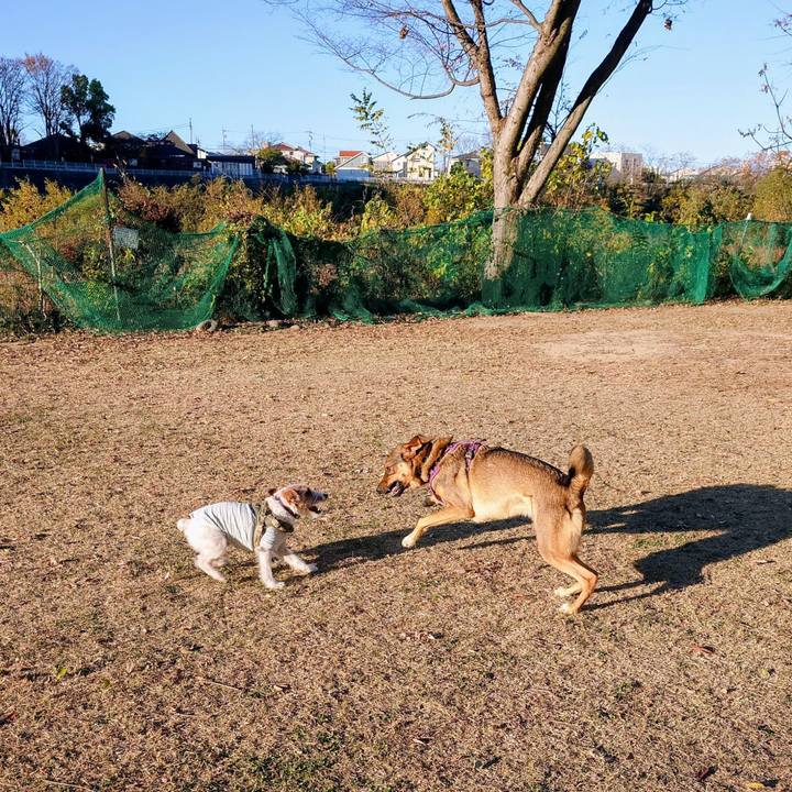 F16c0abb 2894 4bdc 8b74 a347f2e51693 1764383298333