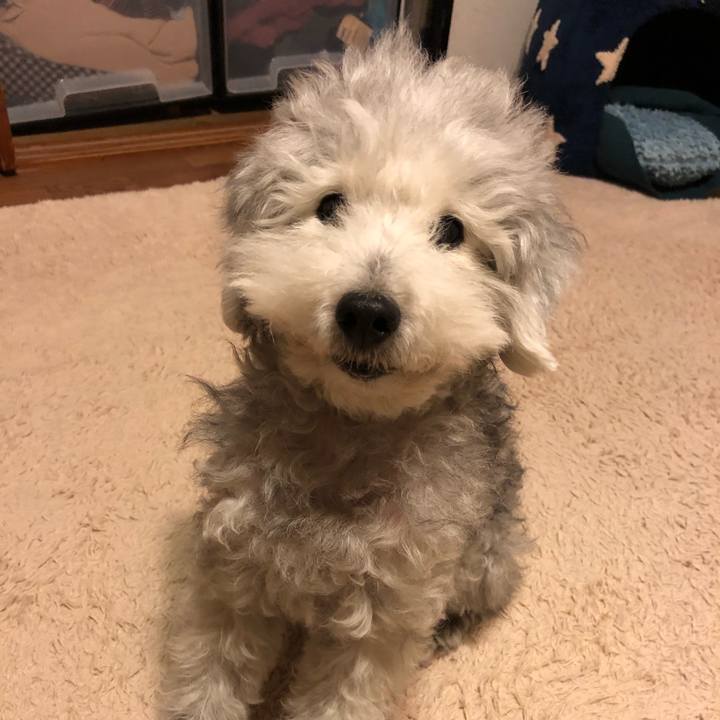 F16c117a ae5d 434c 90d8 9ca57b21c842 1609581256351