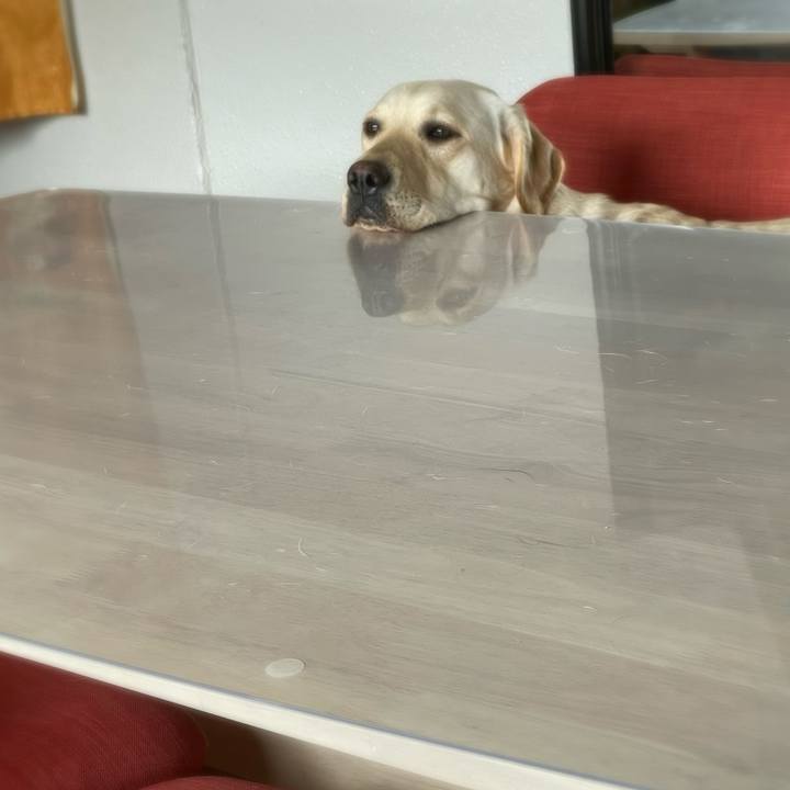 F16c1b4c 8a97 4eff b0a9 c7f8c0581bcd 1650845679417