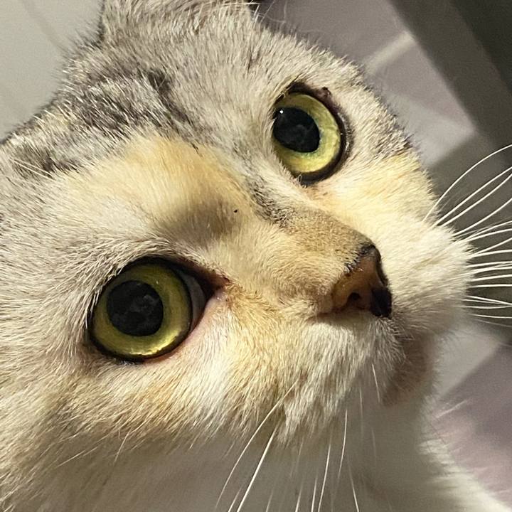 F16c23f8 0725 45a1 87a8 0b2567784f4b 1633095510924