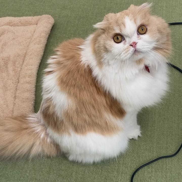 F16c3653 12fc 44b1 bea2 37cf9e0792bc 1619180643403