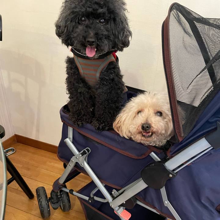 F16c4642 0862 4b14 bfd2 f72907dae6d7 1676935175256