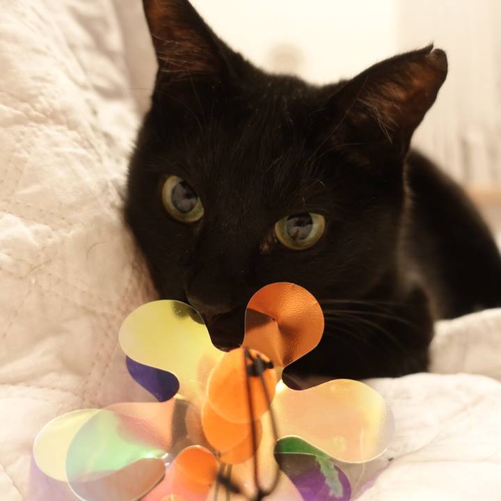 F16cd019 8772 4287 99f6 ace49eae90e2 1535378802179