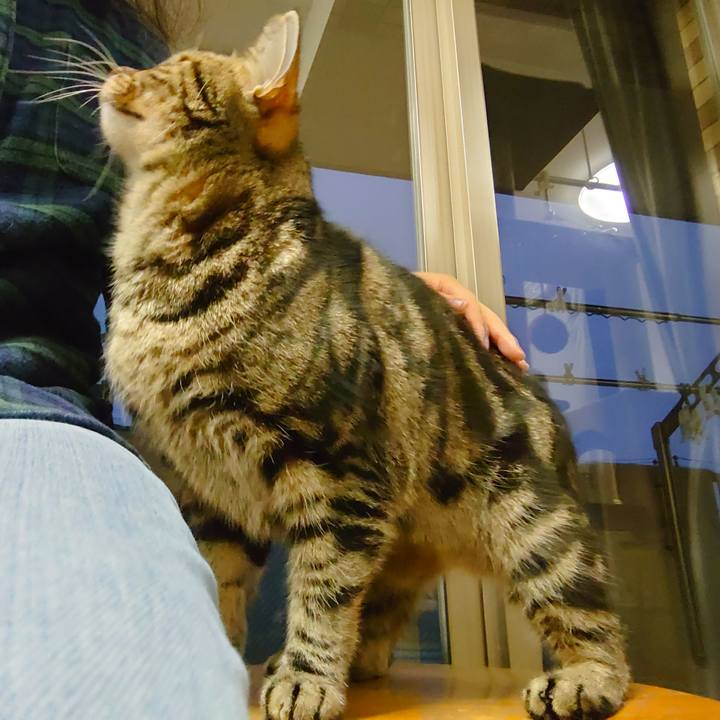 F16d1f37 ae31 45bf 88fd 849c8a7a490b 1641941741423