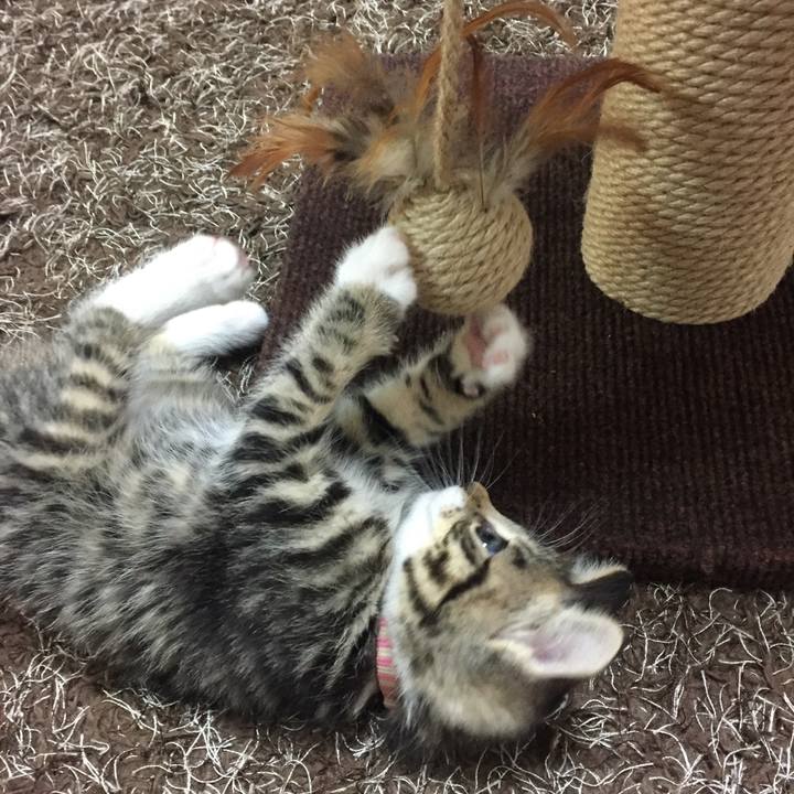 F16d21dd bfda 427f a56f 709cbaa2f253 1546998617215