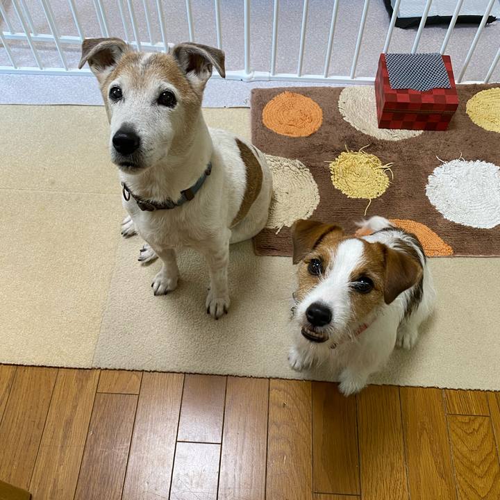 F16d34c6 3539 4091 95c6 407d4c8e72f3 1651103335472