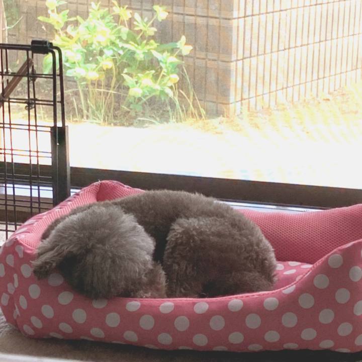 F16d3feb 7bf7 4bf6 aaeb d92905dcbaf1 1653627316890