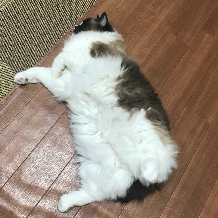 F16d5ba4 41f1 4926 89d5 ffbc8828c868 1525967293645