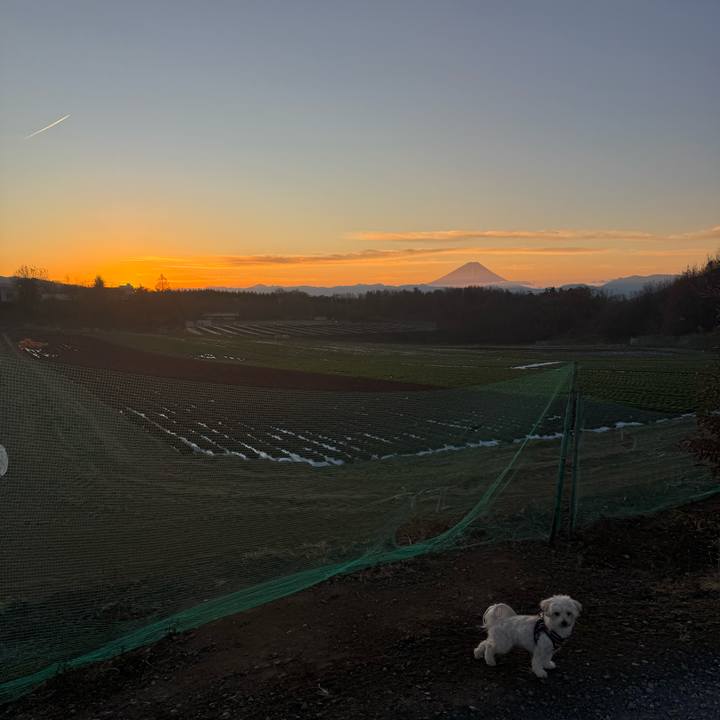 F16d6d06 3b7e 4293 bccf 2baec4d676e6 1765368656124