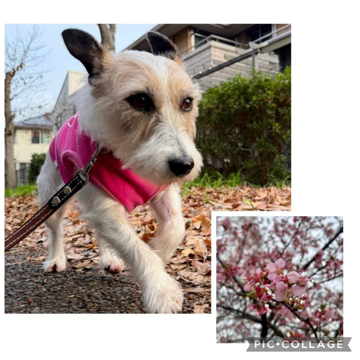 F16dc212 f38e 44f7 884d c83bc720185a 1772228107001