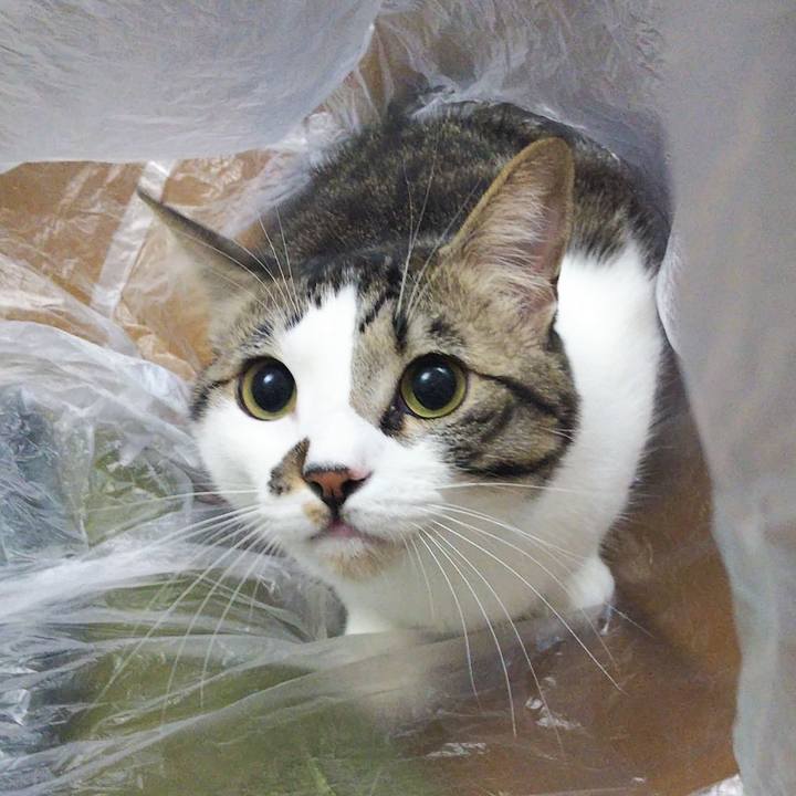 F16dcff2 4973 4e8c 9c0a 1aafef2a7ddd 1644839136230