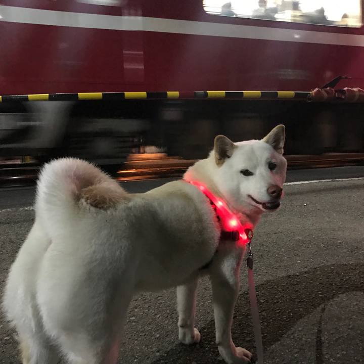 F16e2054 b63d 4f26 9532 234c5579495d 1520940014652