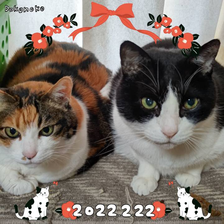 F16e26b0 d257 4201 8ab5 2ae588d6c96c 1645509402277