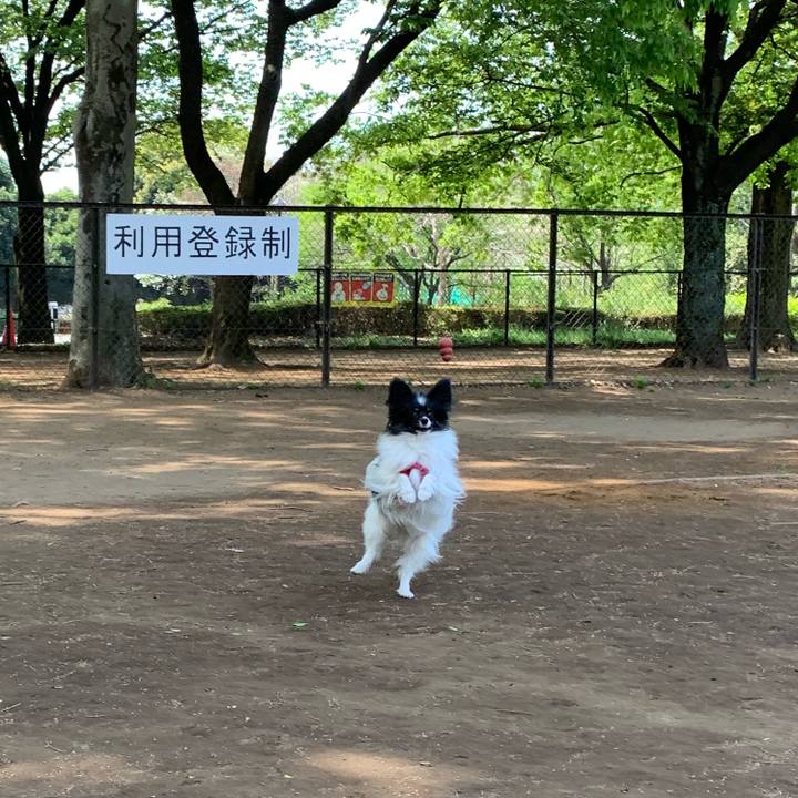 F16e2f9e 9580 49da 9dd5 1b9be70fdd25 1555934588435