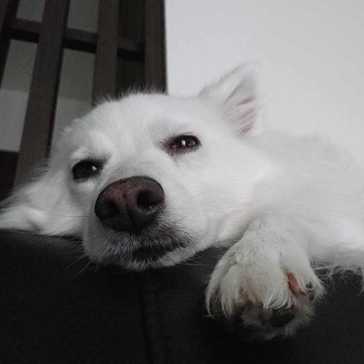 F16f56f1 d371 4610 8d88 d437d09fd20d 1587447806388