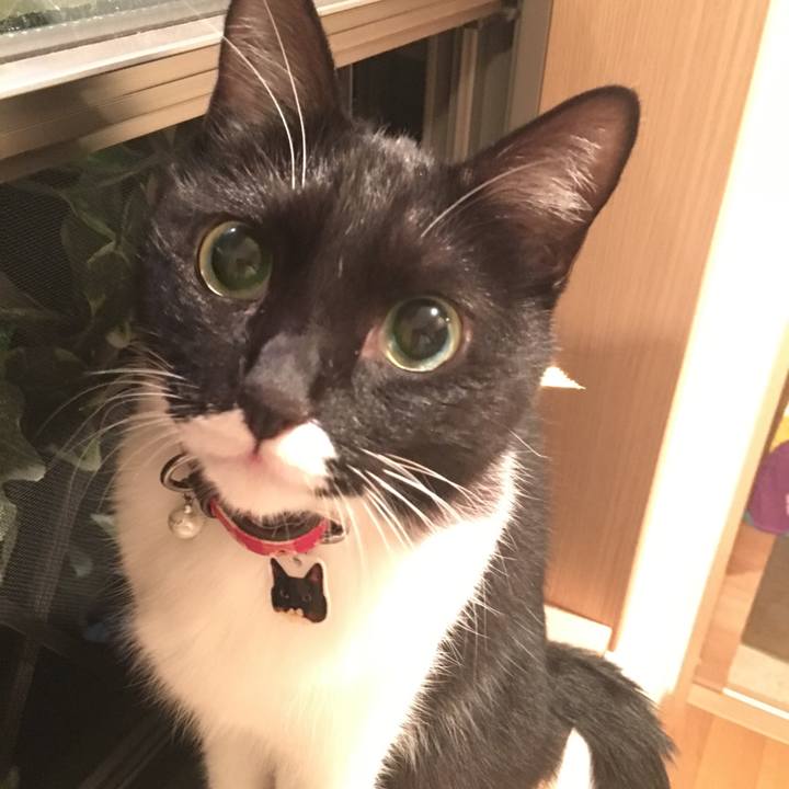 F16f64b8 2517 4c0a a105 bf1df15f089d 1537802193399