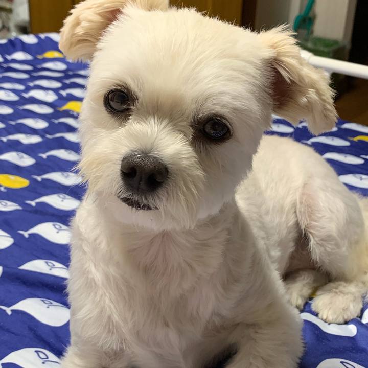 F16f88be cf2d 4f53 83d5 4f1b8b99f997 1568380216444