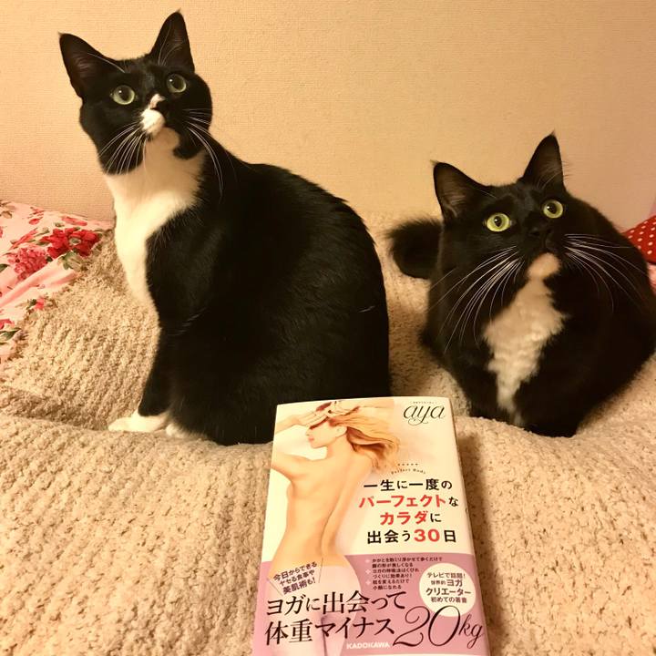 F16fb6ae 64cc 49af 82aa 2c2b4b6651f3 1545089829770