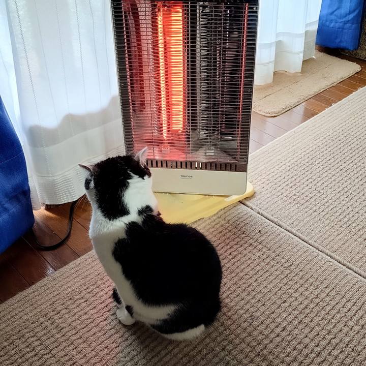 F16fba6b df75 41f1 a97c 9885caf8db42 1761033839822