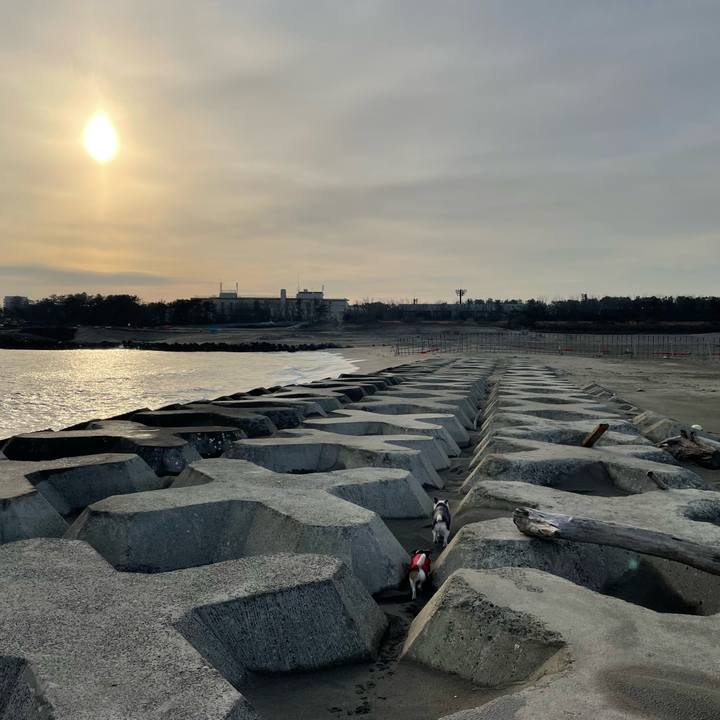 F16fe7ff 4086 4629 83d3 23fd2ccf2656 1646104868022