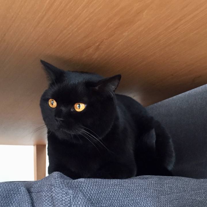 F17003ce f397 4c75 ae9c e1e57c5c9ea3 1546389161712