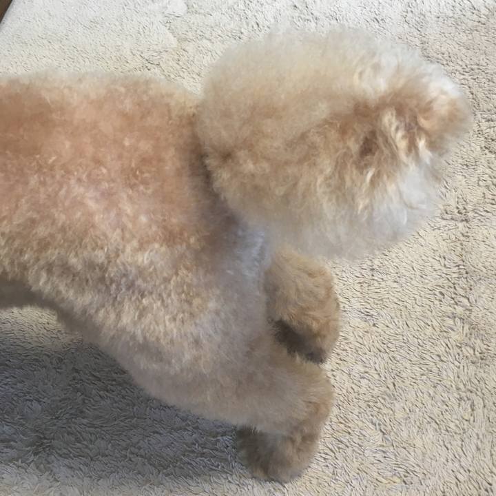 F17010ea 08c8 4bd1 8a9f b9eef8d7233b 1520309734729