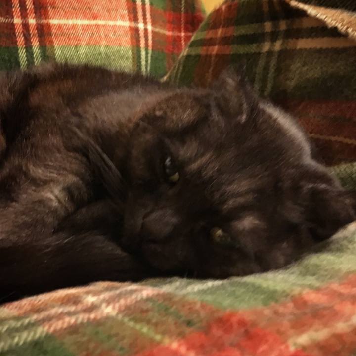 F17029d0 1f72 4b48 9af5 29fbf7e6a357 1524329082950